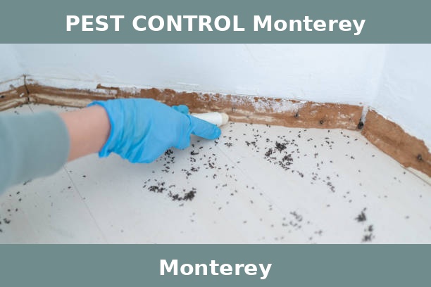 PEST CONTROL Monterey